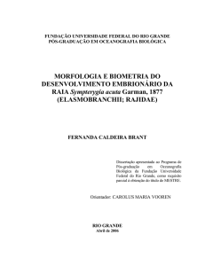 fundação universidade federal do rio grande