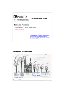 Botânica Florestal e dendrologia