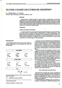 álcool e radicais livres de oxigenio