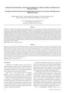 Avaliação da Função Renal e Alterações Morfológicas em Ratos
