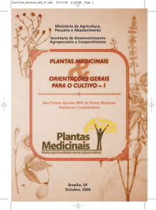 Plantas Medicinais - BVS MS