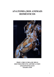 AULA 3. LIVRO DE ANATOMIA VETERINARIA