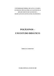 Polígonos: um estudo didático