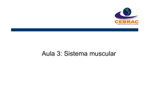 Aula 3 - Sistema muscular
