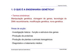 1. O QUE É A ENGENHARIA GENÉTICA?