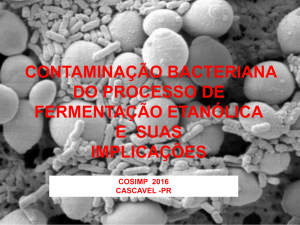 DIAGNÓSTICO RÁPIDO DE CONTAMINAÇÃO BACTERIANA EM