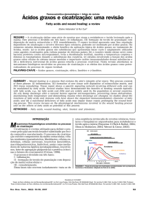 Ácidos graxos e cicatrização - Revista Brasileira de Farmácia