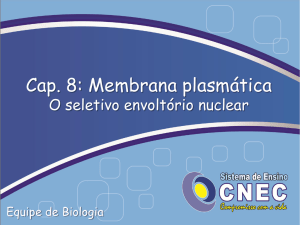 Cap. 8: Membrana plasmática O seletivo envoltório nuclear