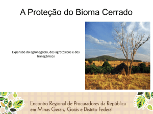 A Proteção do Bioma Cerrado