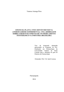 Vanessa Aranega Pires EFEITO DA PLANTA VITEX