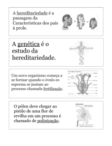 Vocab Cards Mendel`s Work - Portuguese