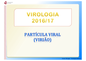 Carlos Sinogas - Virologia 2016/17