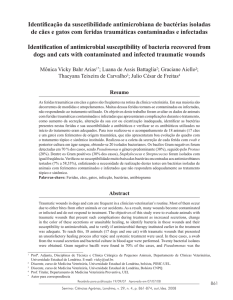 Identificação da suscetibilidade antimicrobiana de bactérias