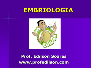 Embriologia - Tipos de Ovos