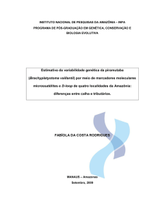 Estimativa da variabilidade genética da piramutaba - PPBio