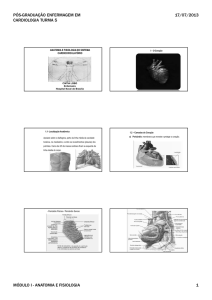 MODULO I - ANATOMIA.ppt [Modo de Compatibilidade]