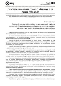 V&iacute;rus da Zika