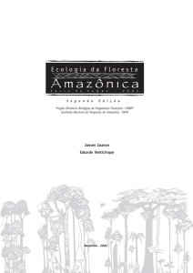 na Amazônia Central - PDBFF