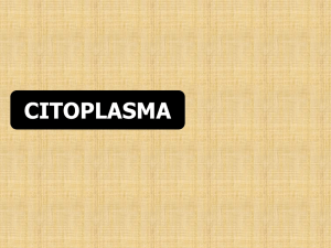 citoplasma - Colégio Saber Online