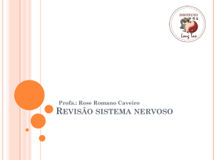 Revis&atilde;o sistema nervoso