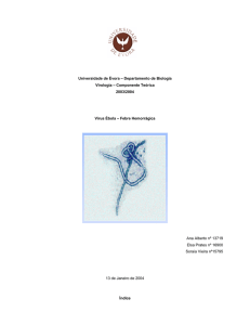 Componente Teórica 2003/2004 Vírus Ébola – Febre Hemorrá