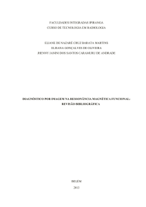 bel&eacute;m 2013 faculdades integradas ipiranga curso de tecnologia em