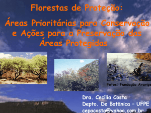 Apresentação Florestas Proteção