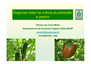 Diagnose foliar na cultura do pimentão e pepino
