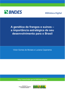 A set.35_A genética de frangos e suínos_P