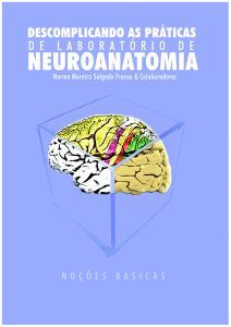 O Sistema Nervoso - Bio-Neuro Psicologia PUC-Rio