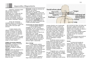 Sistema Digestório