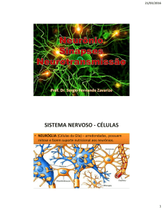 Aula 2 – Neurônio – Sinapses