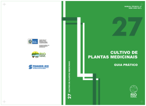 CULTIVO DE PLANTAS MEDICINAIS