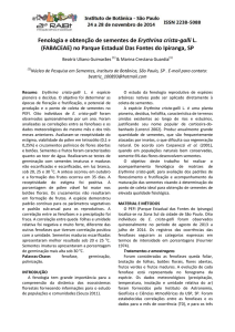 Fenologia e obtenção de sementes de Erythrina crista