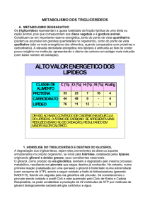 Metabolismo dos lipideos