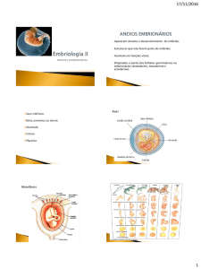 Embriologia II