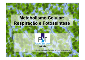 Metabolismo Celular: Respiração e Fotossíntese