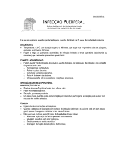 Infecção Puerperal - Portal Maternidade Escola da UFRJ