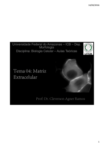 Matriz Extracelular - Prof. Dr. Cleverson Agner Ramos