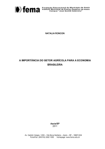 a importância do setor agrícola para a economia brasileira