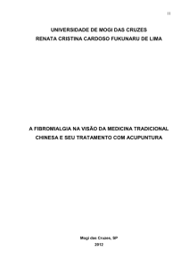 a fibromialgia na visão da medicina tradicional