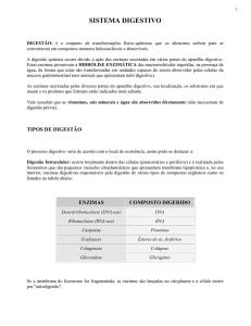 sistema digestivo - Laboratório de Biologia