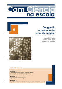 Dengue II: o caminho do vírus da dengue