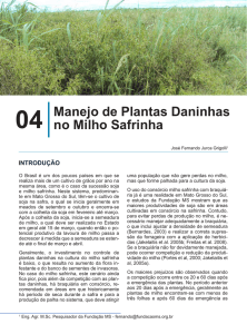 Manejo de Plantas Daninhas no Milho Safrinha