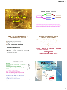 controle motor 1