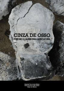 Cinza de osso – Fósforo e cálcio para agricultura