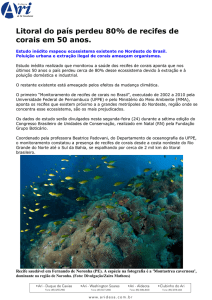Litoral do país perdeu 80% de recifes de corais em 50 anos