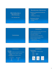 Biomoléculas e Membranas