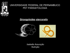 Strongyloides - PET Parasitologia