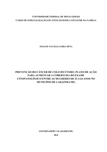 PREVENÇÃO DO CÂNCER DE COLO DO ÚTERO: PLANO DE